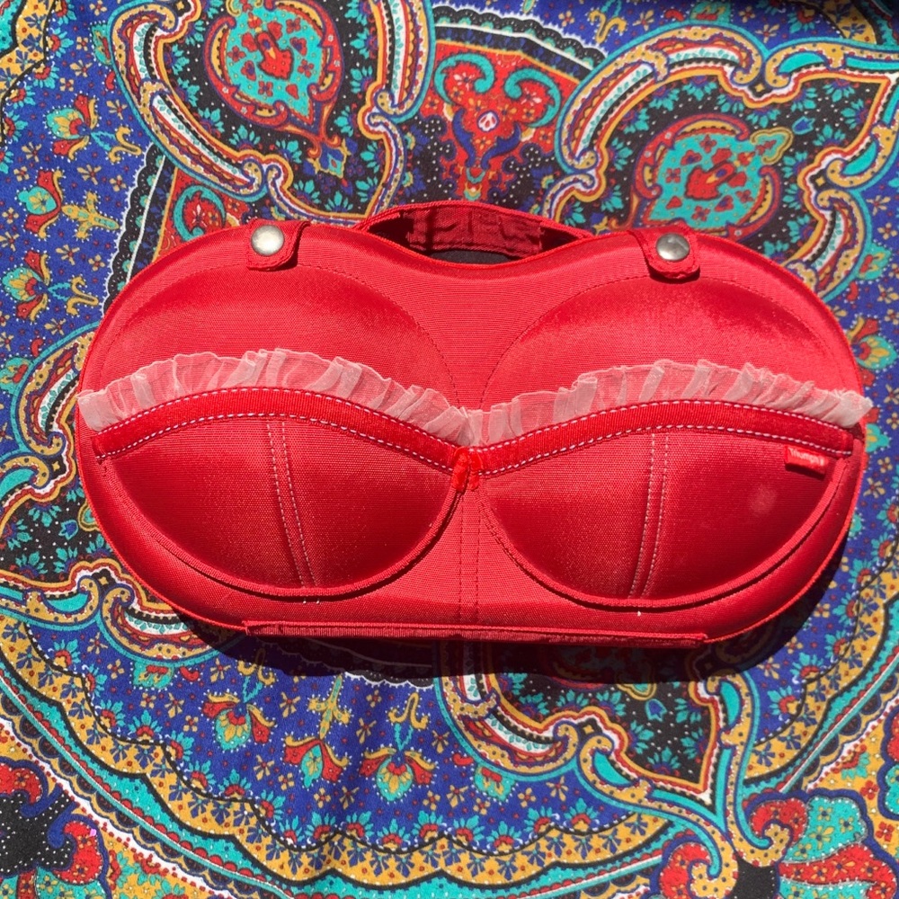 NWOT Triumph Pink Lace Bra Bag✨💖✨